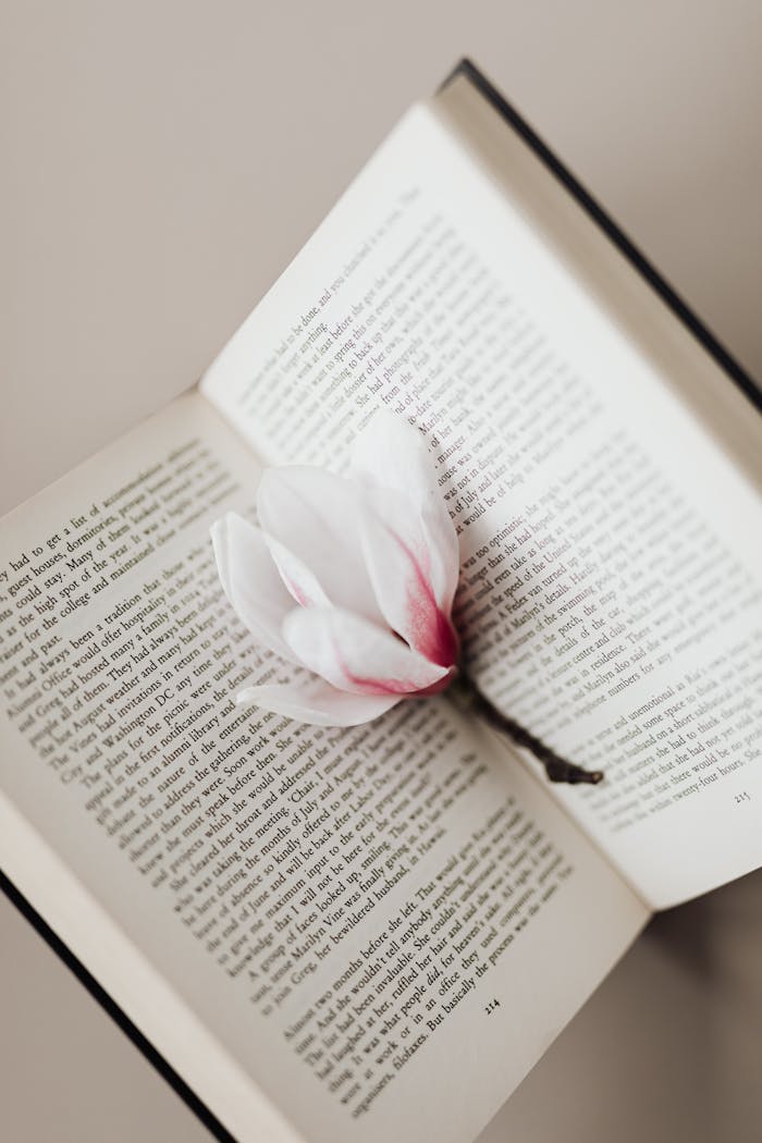 A close-up of a white flower resting on an open book, symbolizing peace and literature.